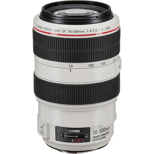 Canon EF 70-300mm f/4.0-5.6 L IS USM - Image 4
